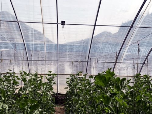 陕西首个数字乡镇示范村验收成功，物联网技术点亮智慧乡村新图景