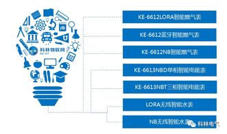 科林物联网 以技术服务赋能智慧城市新生态